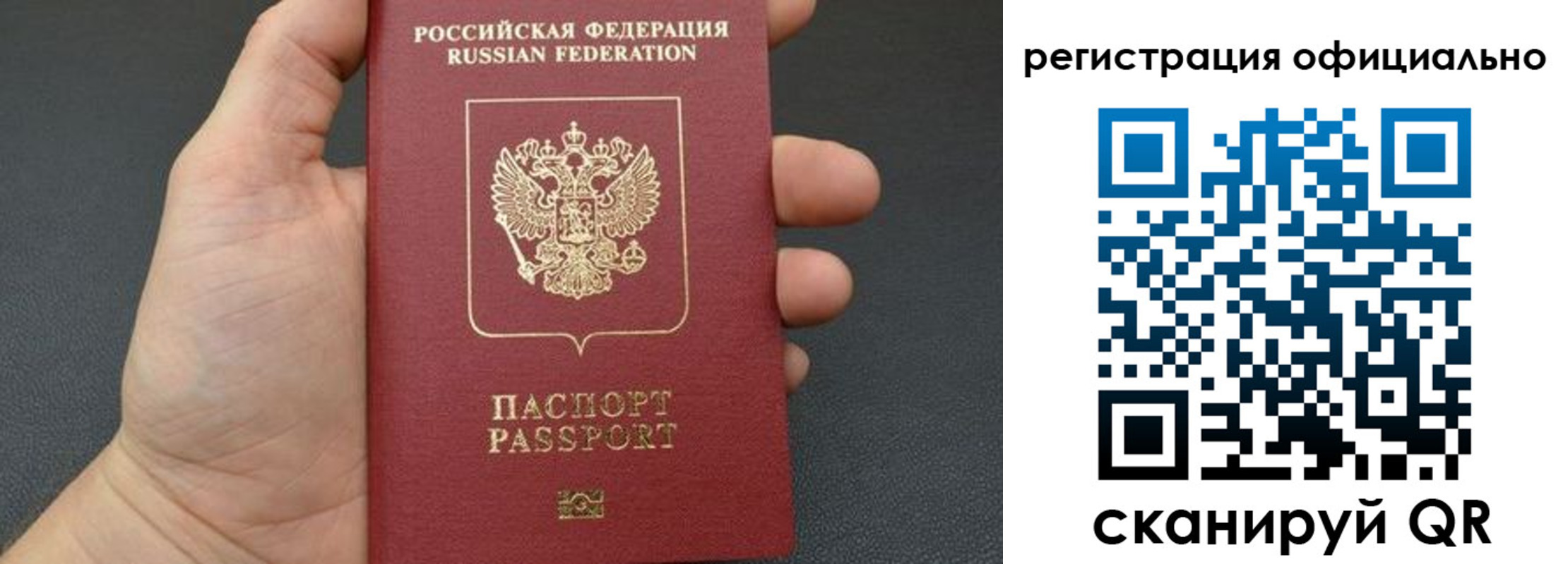 прописка в Мурманской области